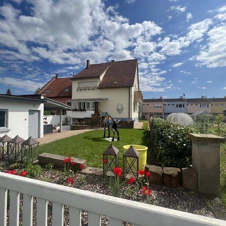 La Maison De Jeanne Sélestat Zewnętrze zdjęcie